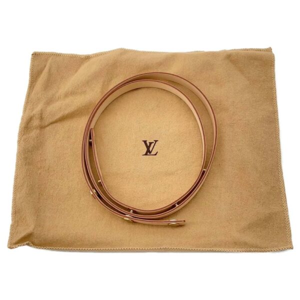 9755543 14 Louis Vuitton Pochette Florentine Monogram Waist Pouch