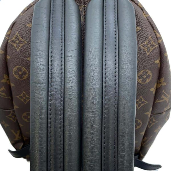 9819948 10 Louis Vuitton Monogram Palm Springs Backpack