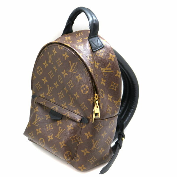 a21 8906 1 Louis Vuitton Palm Springs Backpack PM Monogram