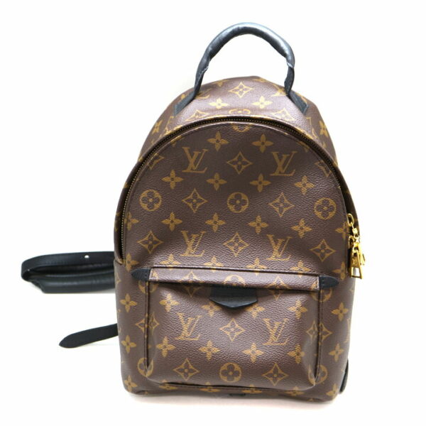 a21 8906 2 Louis Vuitton Palm Springs Backpack PM Monogram