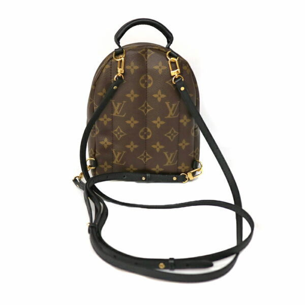 c21 2479 10 Louis Vuitton Palm Springs Backpack Monogram Brown