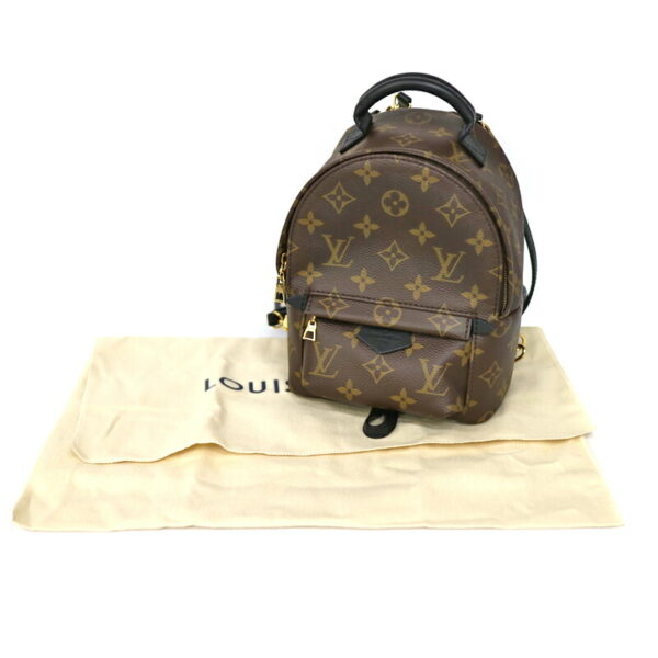 c21 2479 12 Louis Vuitton Palm Springs Backpack Monogram Brown