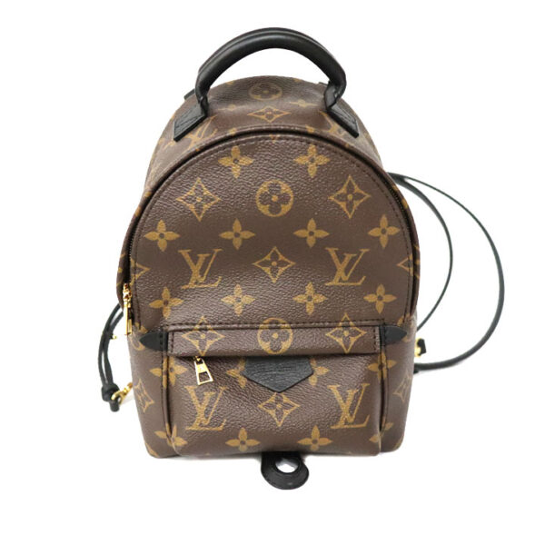 c22 93 1 Louis Vuitton Palm Springs Backpack Mini Monogram Canvas Brown