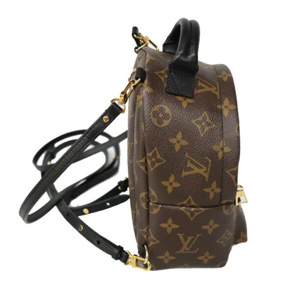 c22 93 2 Louis Vuitton Palm Springs Backpack Mini Monogram Canvas Brown