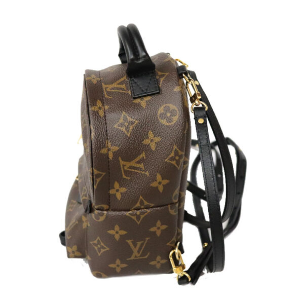 c22 93 3 Louis Vuitton Palm Springs Backpack Mini Monogram Canvas Brown