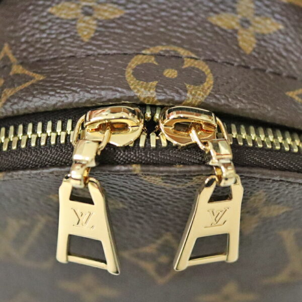 c23 5132 7 Louis Vuitton Palm Spring PM Backpack