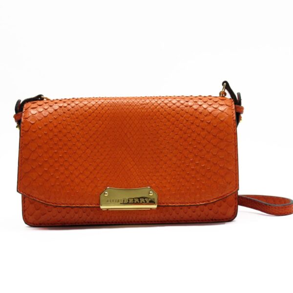 h28885a 1 Burberry Python Leather Shoulder Wallet Orange