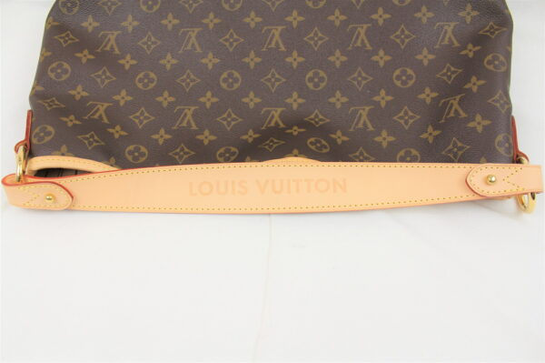 imgrc0072187337 Louis Vuitton Delightful PM Hand Shoulder Bag Monogram Brown