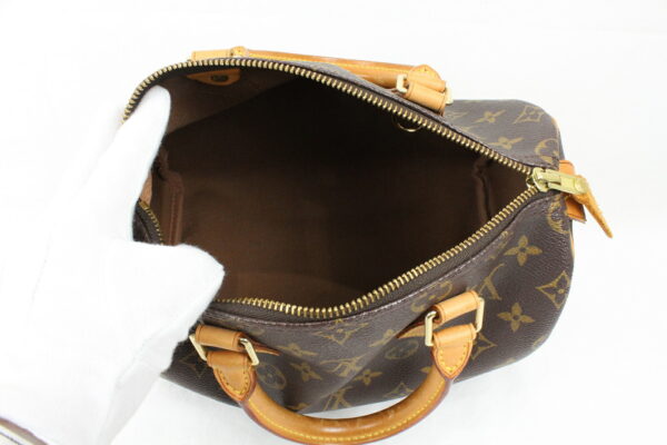 imgrc0072791268 Louis Vuitton Speedy 25 Handbag Monogram