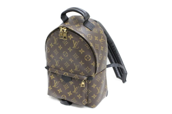 imgrc0073662034 Louis Vuitton Palm Springs Backpack PM Monogram