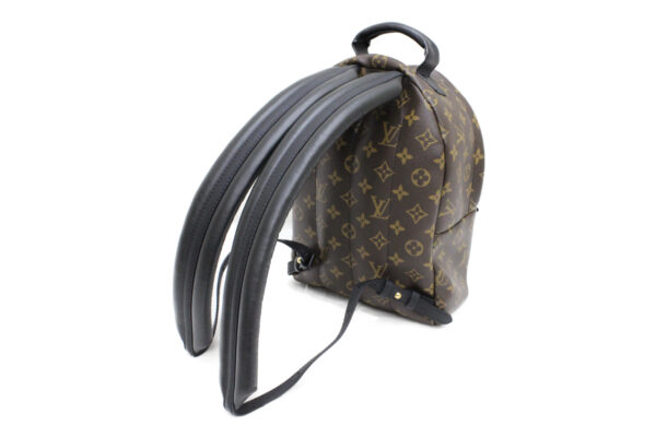 imgrc0073662035 Louis Vuitton Palm Springs Backpack PM Monogram