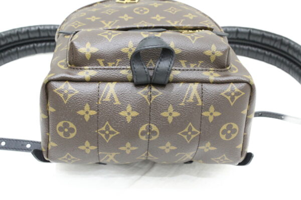 imgrc0073662036 Louis Vuitton Palm Springs Backpack PM Monogram