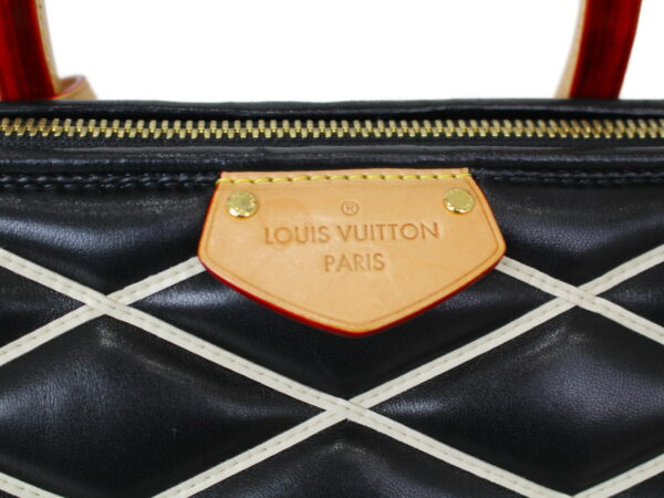 imgrc0075324805 Louis Vuitton Dog PM Maltage Lambskin Handbag