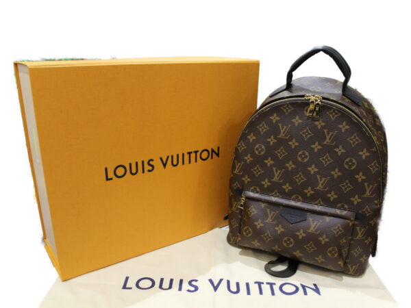 imgrc0079205275 Louis Vuitton Palm Springs Backpack MM Monogram Brown