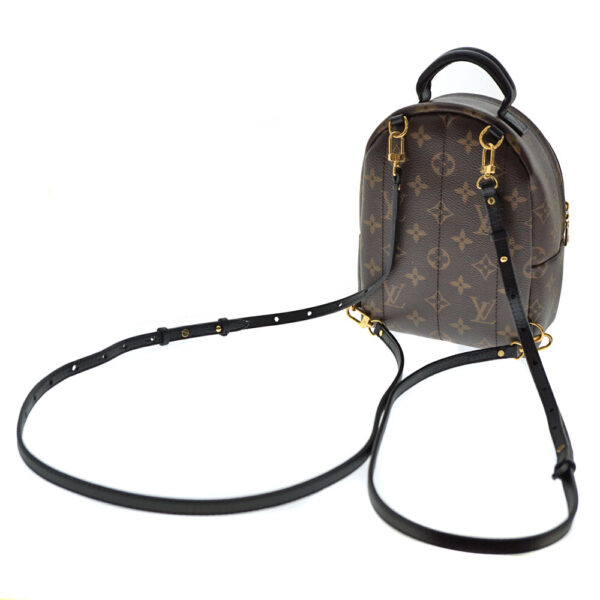 imgrc0079222484 Louis Vuitton Palm Springs Backpack Mini Canvas Brown