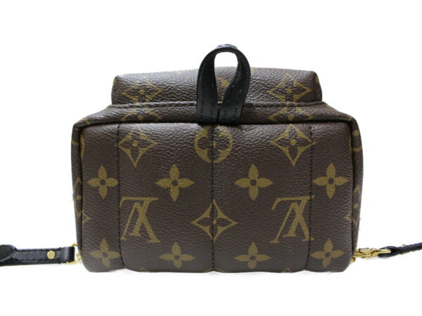 imgrc0079446262 Louis Vuitton Palm Springs Backpack Mini Monogram