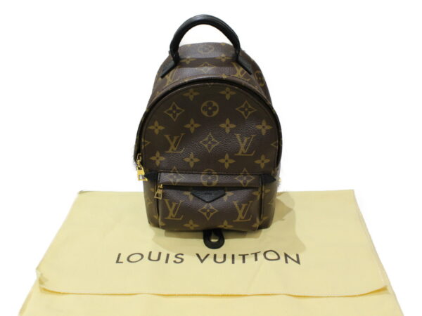 imgrc0079446271 Louis Vuitton Palm Springs Backpack Mini Monogram