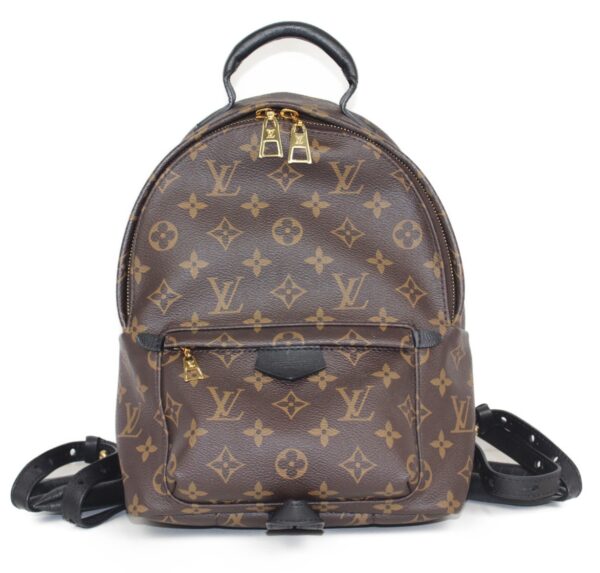 imgrc0081354611 Louis Vuitton Palm Springs Backpack PM Monogram Brown