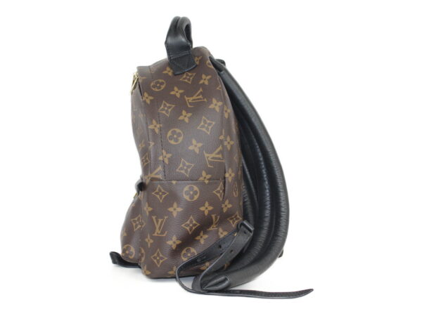 imgrc0081354614 Louis Vuitton Palm Springs Backpack PM Monogram Brown