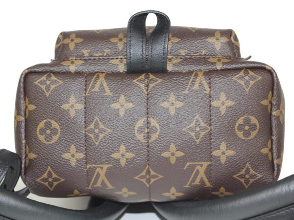 imgrc0081354616 Louis Vuitton Palm Springs Backpack PM Monogram Brown