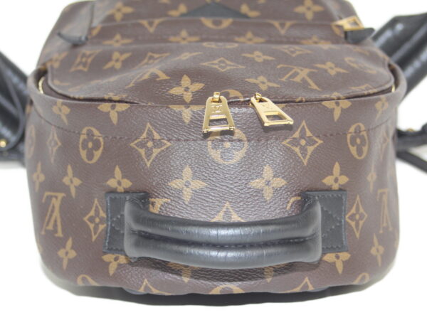 imgrc0081354617 Louis Vuitton Palm Springs Backpack PM Monogram Brown