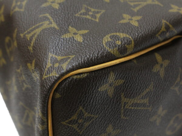 imgrc0082827398 Louis Vuitton Speedy 25 Monogram Bag