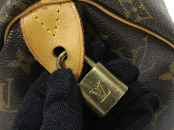 imgrc0082827406 Louis Vuitton Speedy 25 Monogram Bag