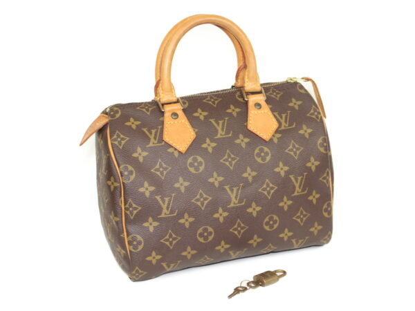 imgrc0087275605 Louis Vuitton Speedy 25 Monogram Canvas Bag Brown