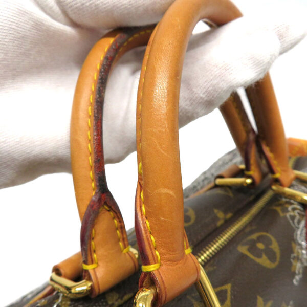 imgrc0089543383 Louis Vuitton Speedy 30 Monogram Dantelle Bag Brown