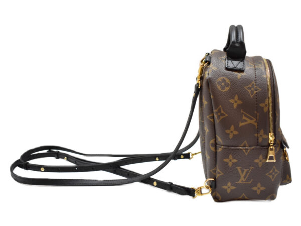 imgrc0092548655 Louis Vuitton Palm Springs Backpack Mini Monogram Brown