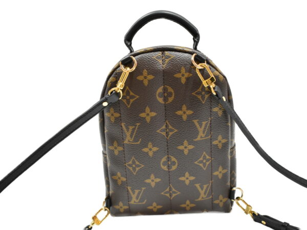 imgrc0092548657 Louis Vuitton Palm Springs Backpack Mini Monogram Brown