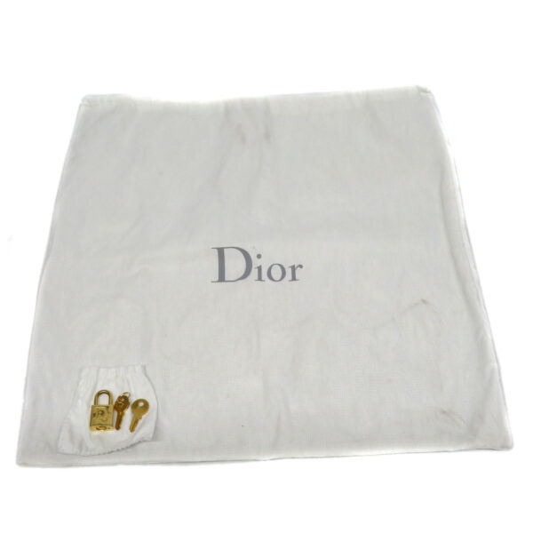 imgrc0092963754 Dior Lady Dior