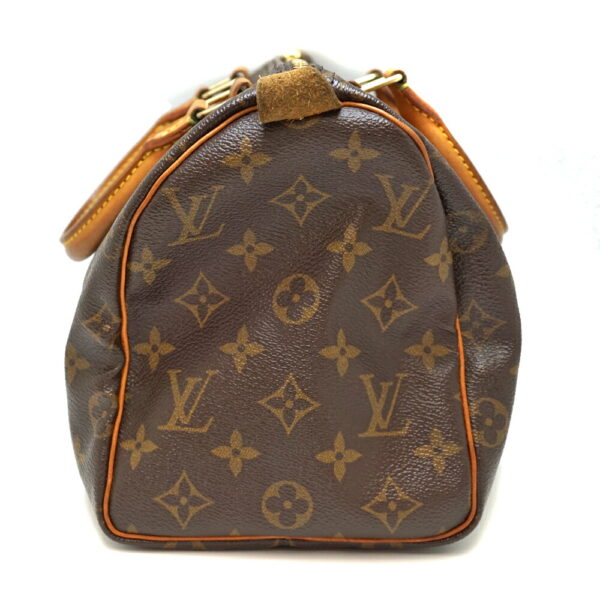 imgrc0093804289 Louis Vuitton Speedy 25 Monogram Bag