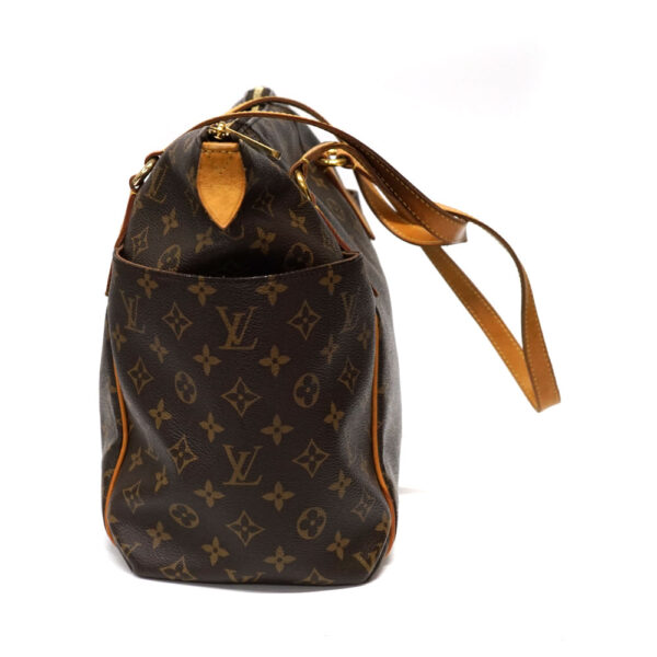 imgrc0095961931 Louis Vuitton Totally MM tote bag Monogram