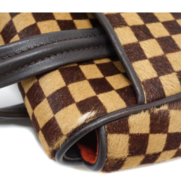 imgrc0096944870 Louis Vuitton Lion Handbag Damier Sauvage