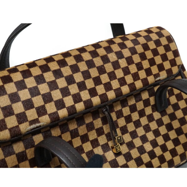 imgrc0096944872 Louis Vuitton Lion Handbag Damier Sauvage