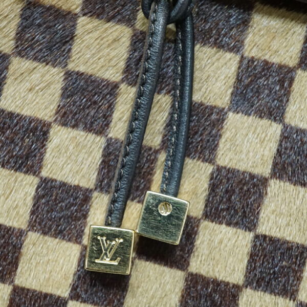 imgrc0096944877 Louis Vuitton Lion Handbag Damier Sauvage