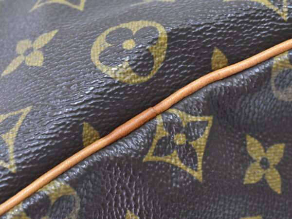 imgrc0099108708 Louis Vuitton Speedy 25 Handbag Monogram Brown