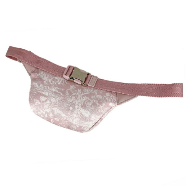 p22 1107 2 Christian Dior Belt Bag Toile de Jouy