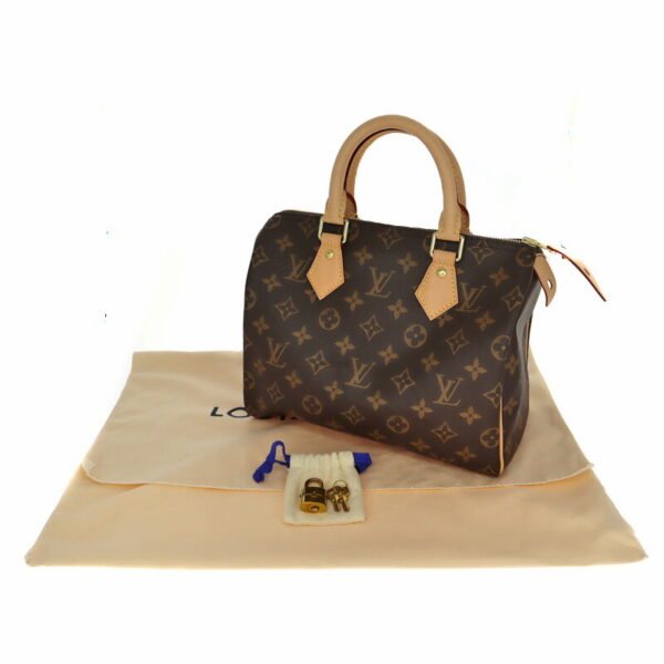 p23 1067 12 Louis Vuitton Speedy 25 Monogram Bag