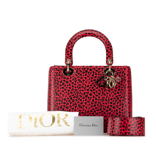 wq3w8bgdx40zva72 10 Dior Dior Leopard Shoulder Bag 2Way Red Black