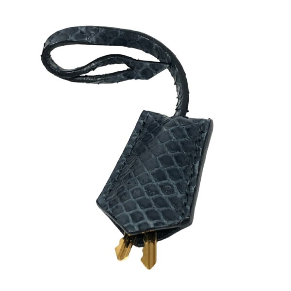 z0001237 15 Louis Vuitton Speedy Bandouliere Python Handbag Blue