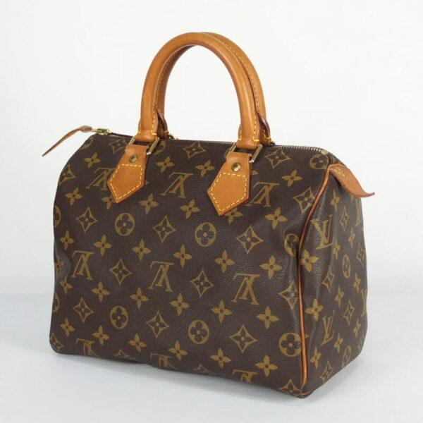 10003093 2 Louis Vuitton Speedy 25 Mini Bag Monogram