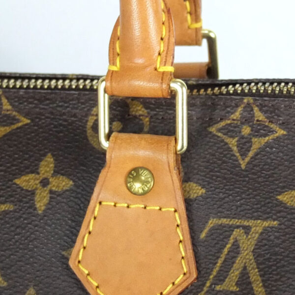 10003093 6 Louis Vuitton Speedy 25 Mini Bag Monogram