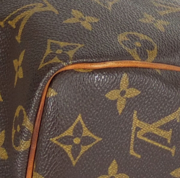 10003093 7 Louis Vuitton Speedy 25 Mini Bag Monogram