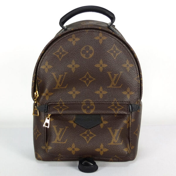 10003455 1 Louis Vuitton Palm Springs Backpack Mini Monogram