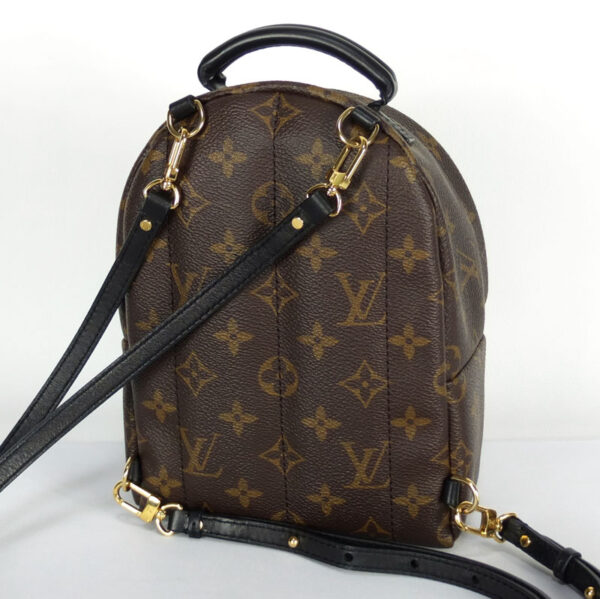 10003455 2 Louis Vuitton Palm Springs Backpack Mini Monogram