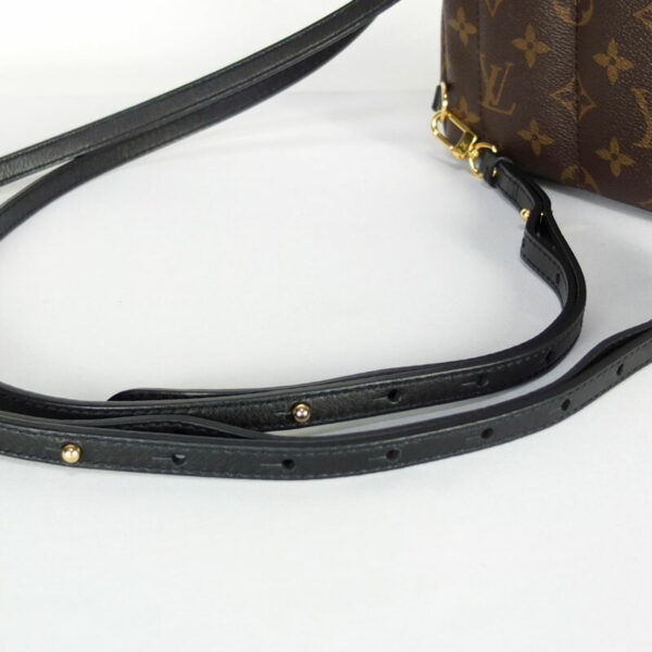 10003455 6 Louis Vuitton Palm Springs Backpack Mini Monogram