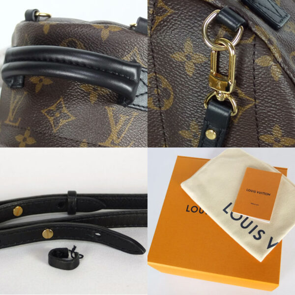 10003455 9 Louis Vuitton Palm Springs Backpack Mini Monogram