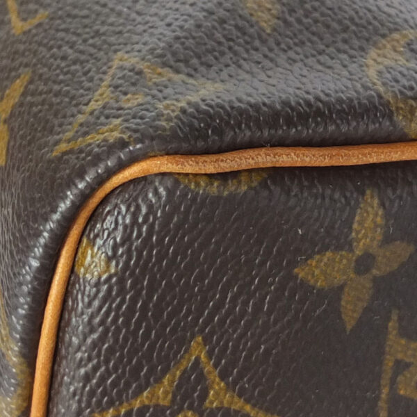 10003843 5 Louis Vuitton Speedy 25 Monogram Handbag